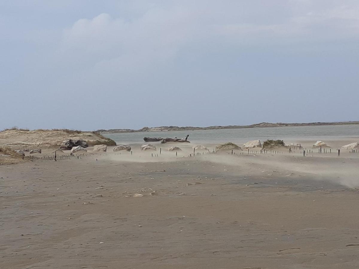 L'Effet Mer Arles Exteriör bild