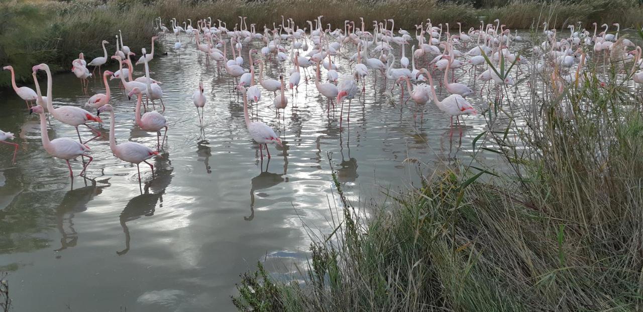 L'Effet Mer Arles Exteriör bild